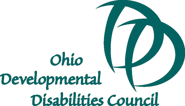 DD Council Logo